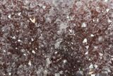 Wide, Purple Amethyst Crystal Cluster On Wood Base - Uruguay #101364-1